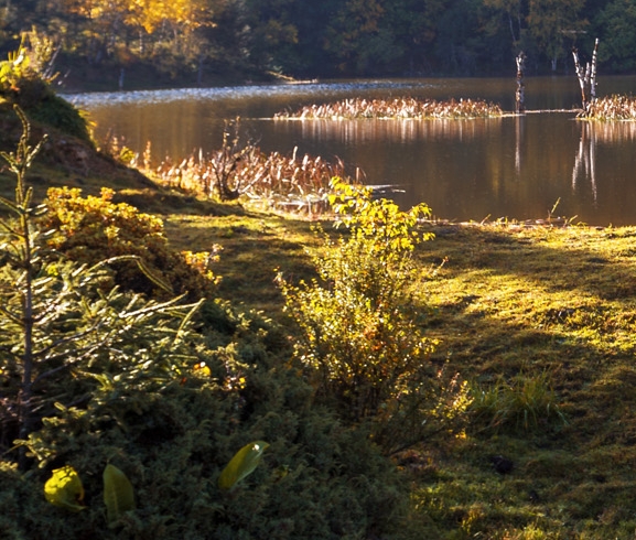 粉象生活 泄露信息