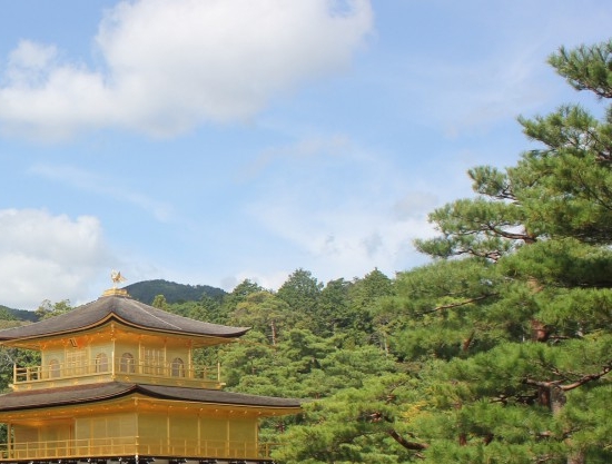 粉象生活里的视频怎么保存