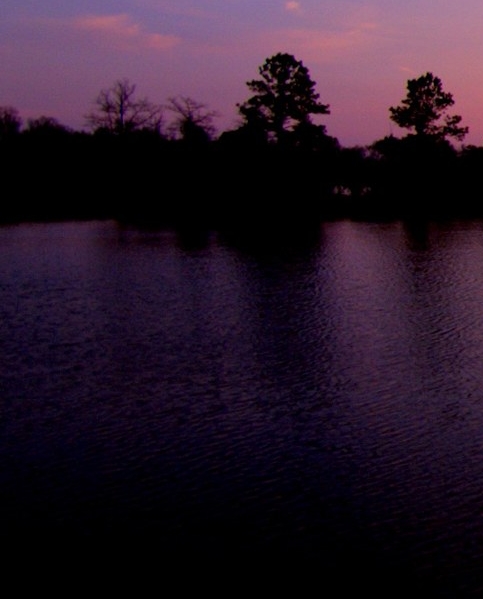 粉象生活可以赚钱吗