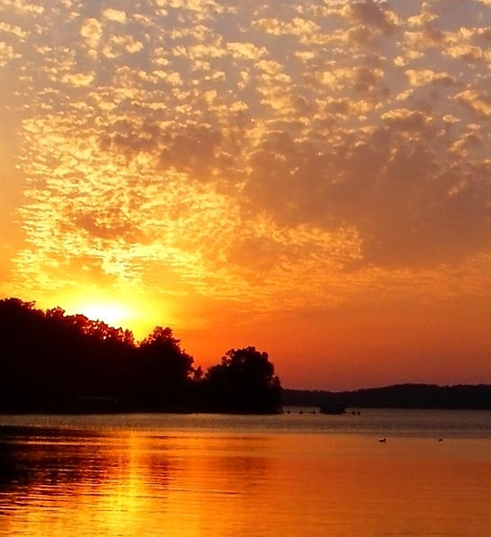 粉象生活是什么?