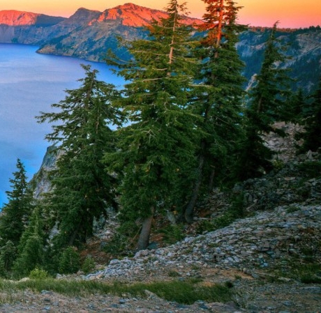 粉象生活会员名字可以改吗