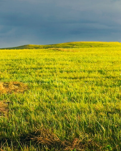 粉象生活可以赚钱吗