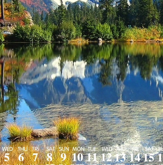 粉象生活官网首页