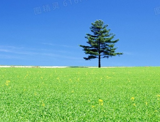 粉象生活怎么赚钱