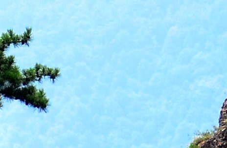 粉象生活下载app