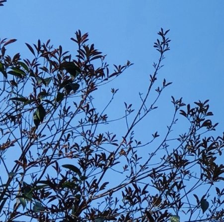 粉象生活真的可以省钱吗