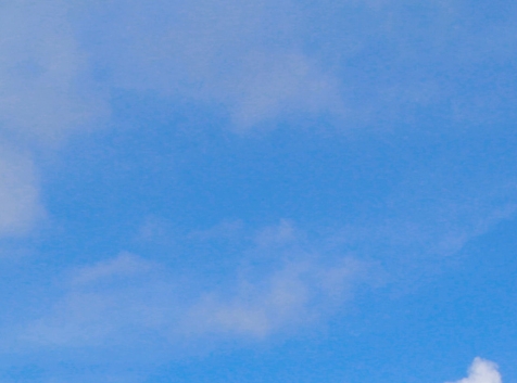 粉象生活真的可以省钱吗