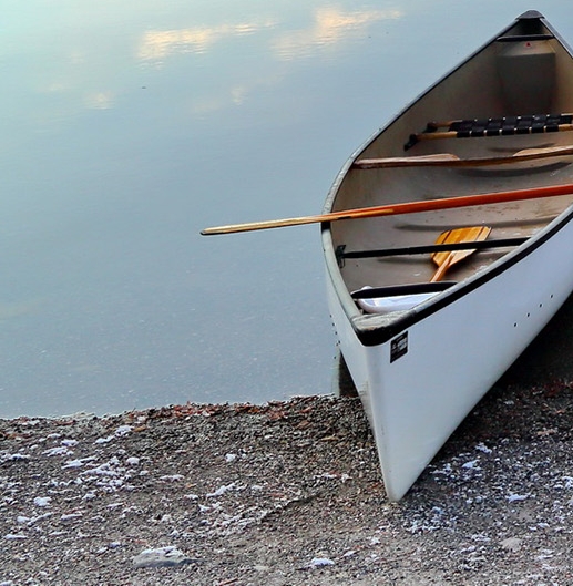 粉象生活是个什么东西