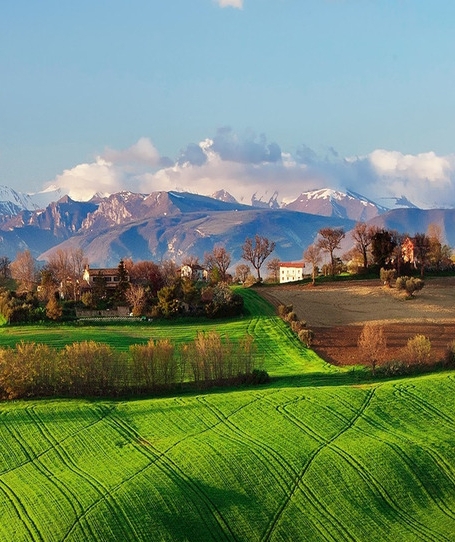 粉象生活邀请码