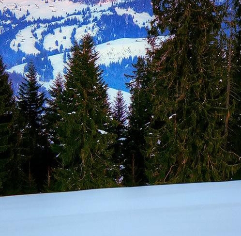 粉象生活多久才能开店