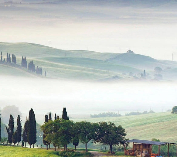 粉象生活未结算收益怎么提现