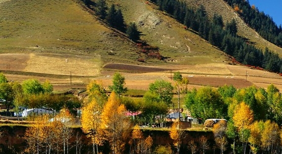粉象生活日推广50人