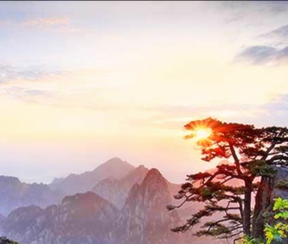 粉象生活下载app