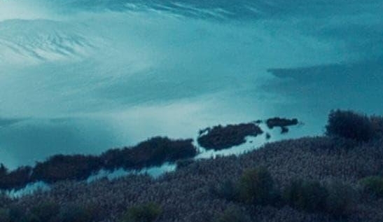 一条生活馆商家入驻