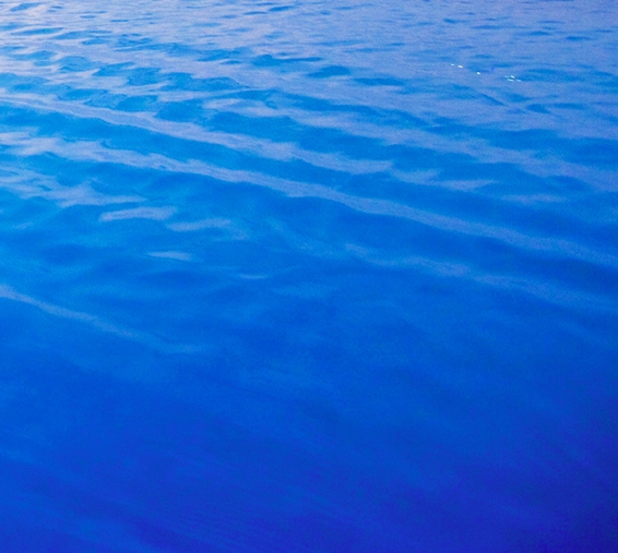 粉象生活是什么?