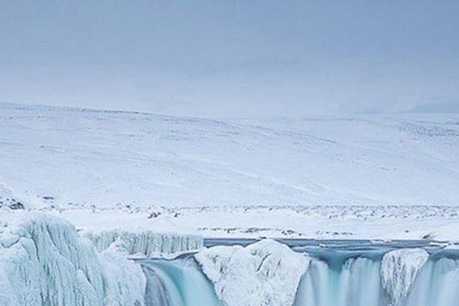 粉象生活下载app