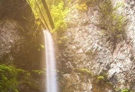 粉象生活靠什么盈利