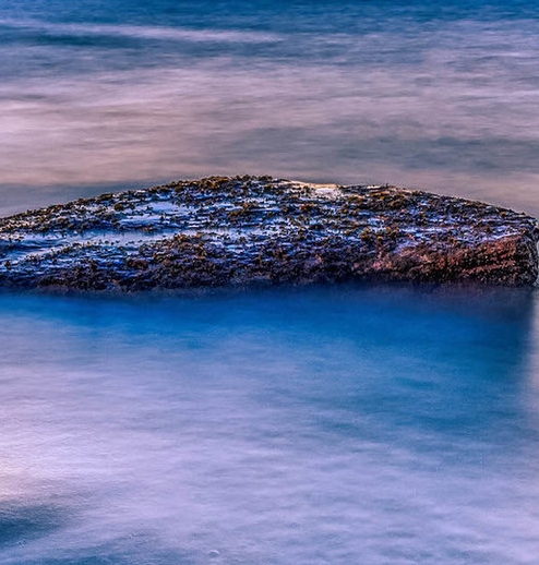 粉象生活新手怎么做