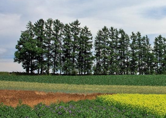 粉象生活如何退出