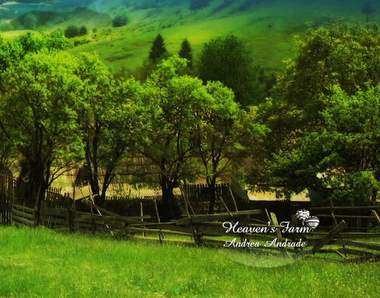 粉象生活怎么赚钱的