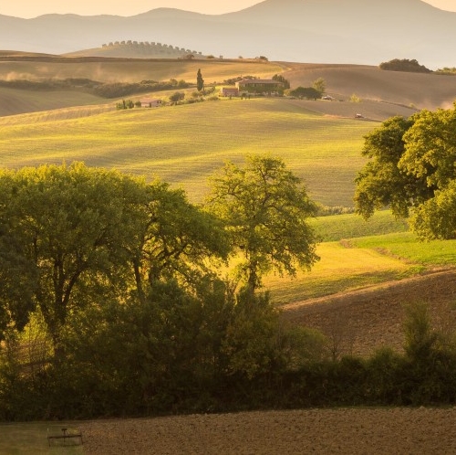 粉象生活下载app