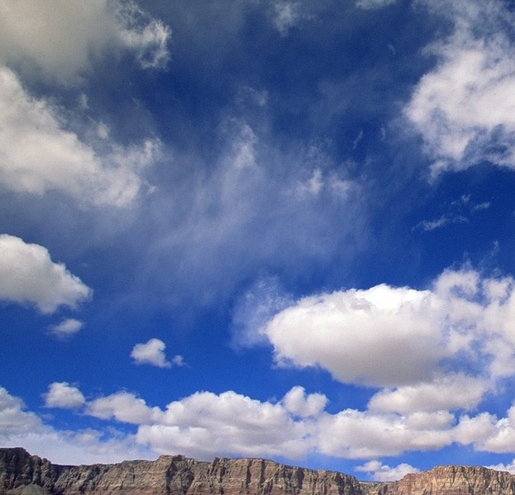 新手邀请码粉象生活