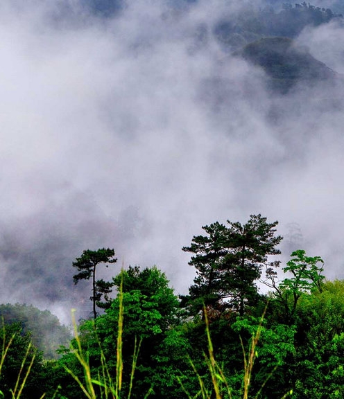粉象生活亮点大全