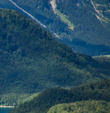 粉象生活工作怎么样