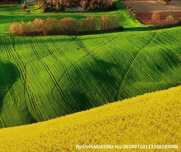 粉象生活里的工作是真的吗