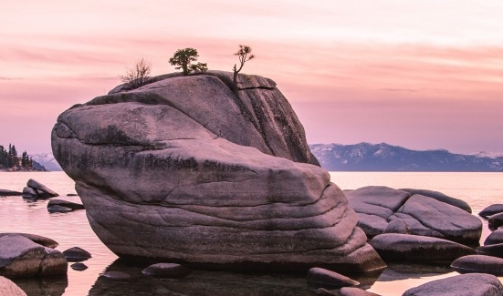 辽宁正规粉象生活怎么样