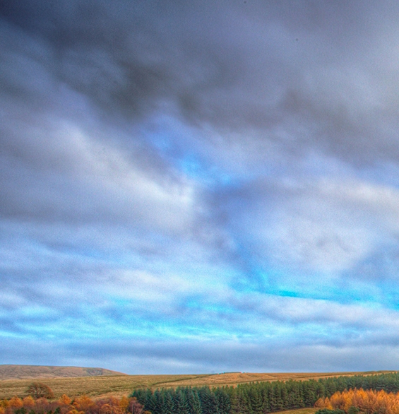 什么是粉象生活