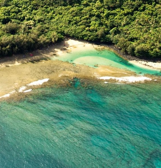 果冻宝盒与粉象生活哪个好