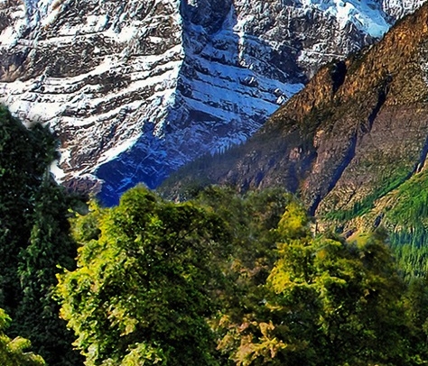 粉象生活模式合法吗