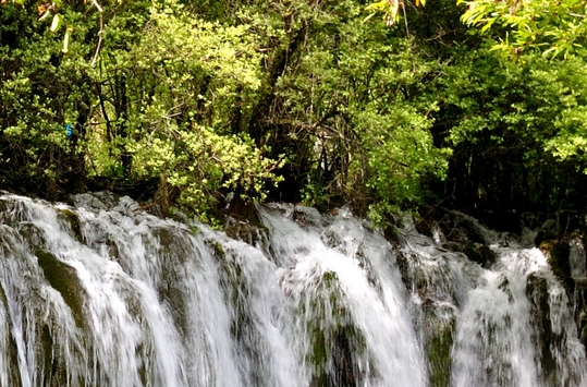 粉象生活和抖音哪个更好