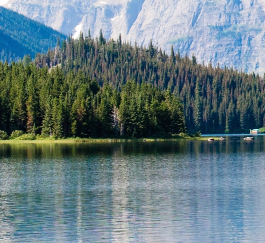 粉象生活聊天背景图