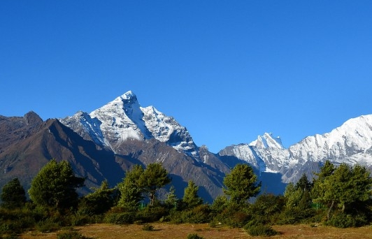 粉象生活下载app