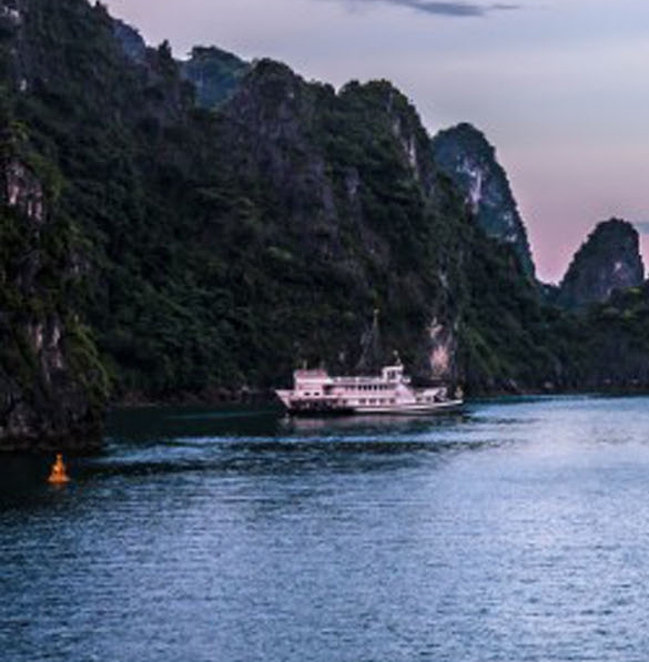 粉象生活邀请码