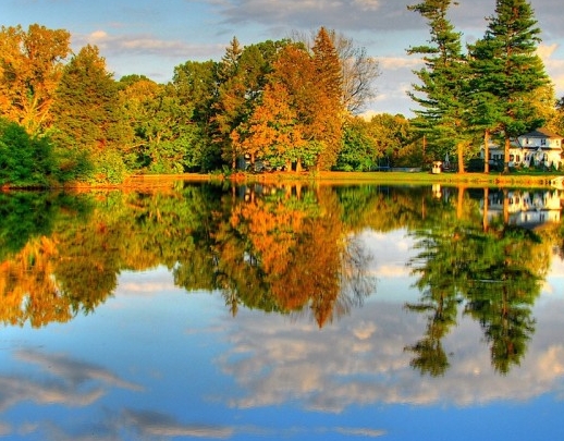 河源粉象生活佣金