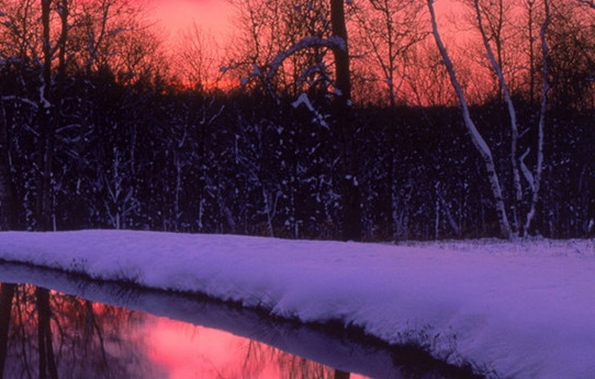 粉象生活怎么赚钱