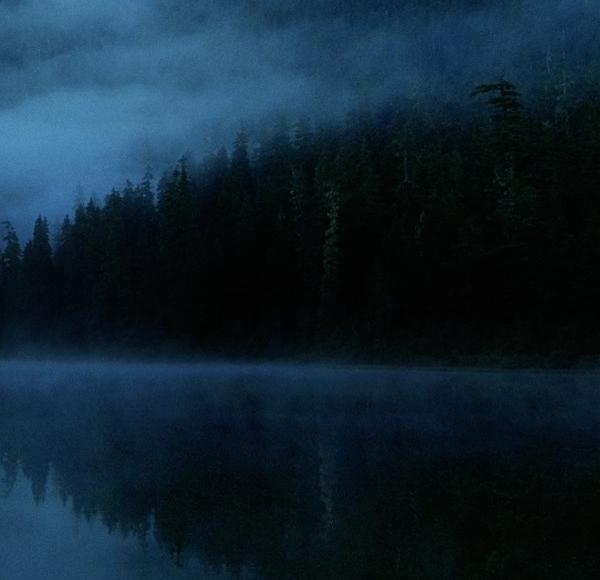 佛山粉象生活如何使用