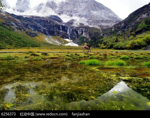 咸鱼拼多多砍价是真的吗