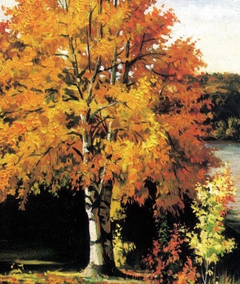 粉象生活怎么查找商品