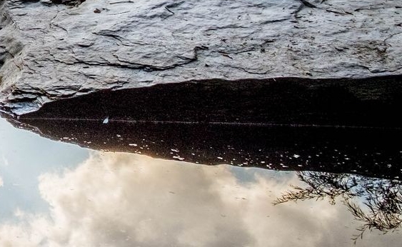 沧州火锅鸡加盟费是多少啊