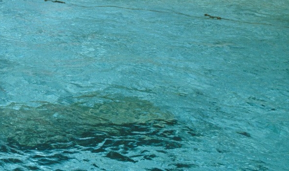 如何开通生活缴费