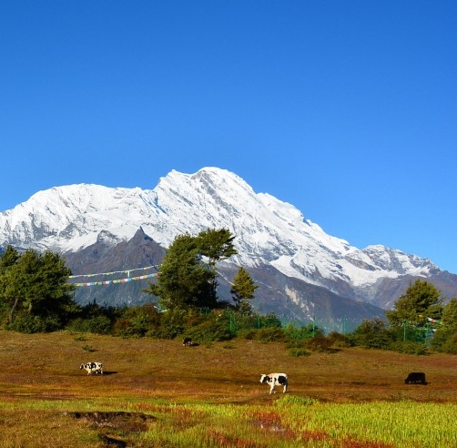 粉象生活怎么上传小视频
