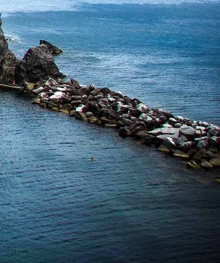 粉象生活公司简介