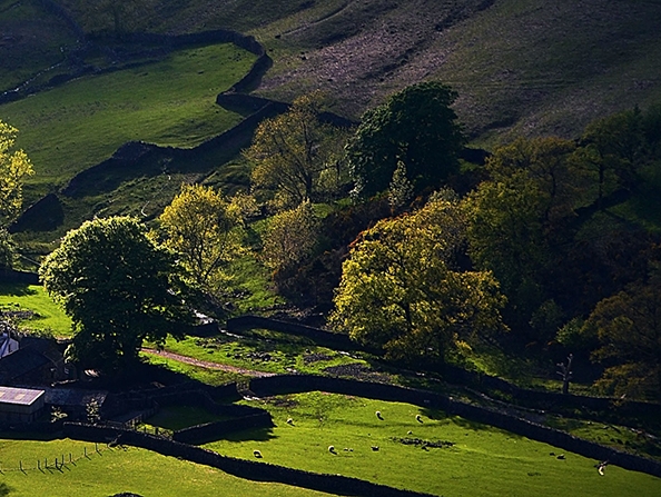 粉象生活真的是套路吗