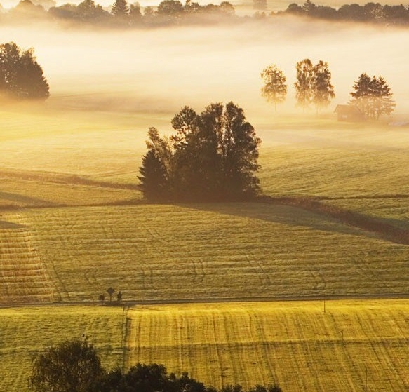 粉象生活是做什么的