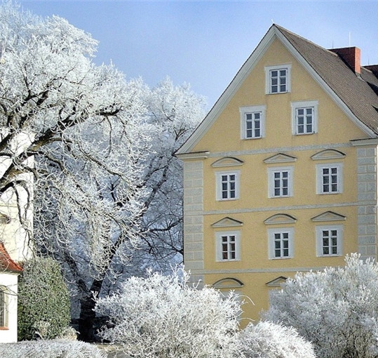 粉象生活下载app