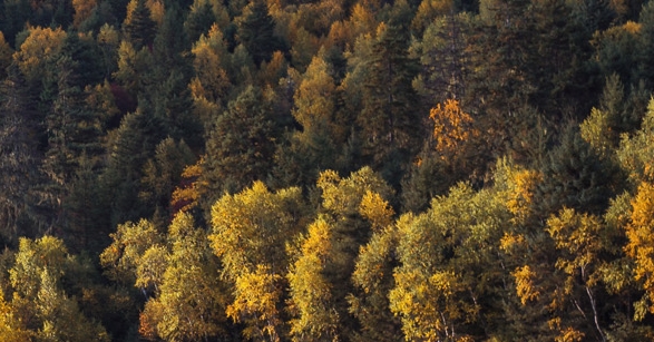 和粉象生活类似的软件